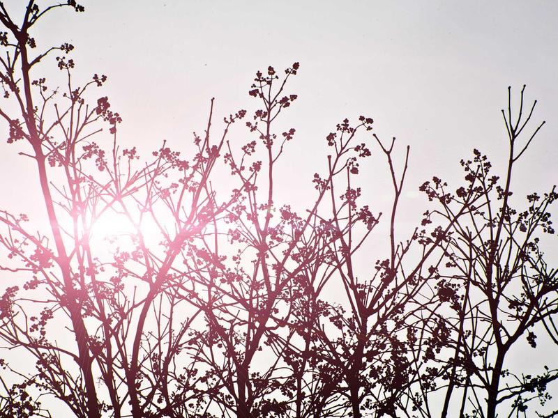 sudoku valid solution screenshot 1