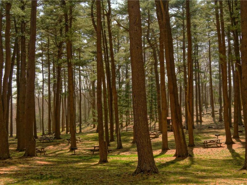 sudoku valid solution screenshot 6