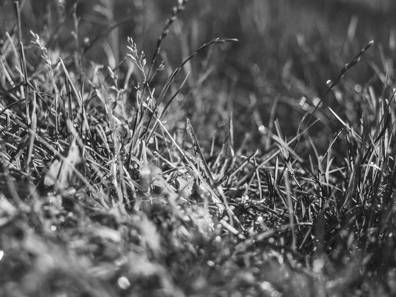 partners screenshot 2